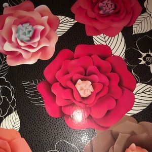 Meet your Posher, Lanaya